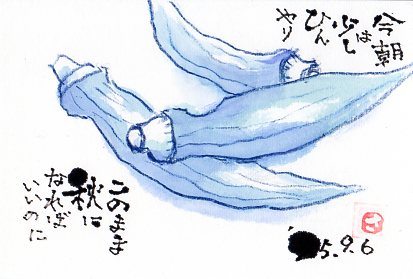 はがき · 0024
