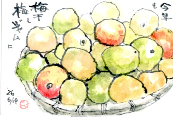 梅を描いたはがき
