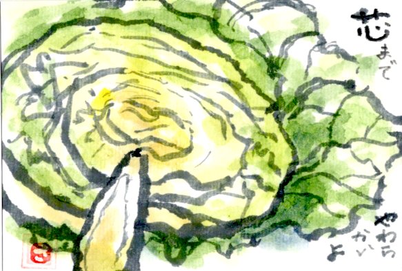 キャベツを描いたはがき