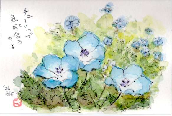 青い小花を描いたはがき