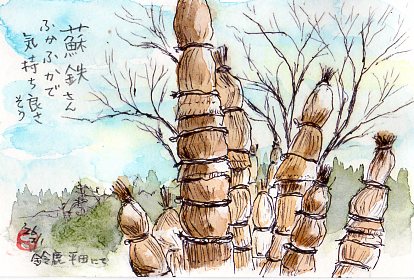 冬の木立を描いたはがき