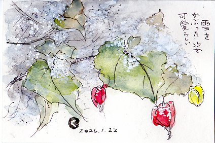 雪と赤い実を描いたはがき