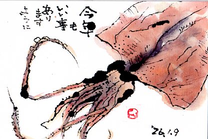 いかを描いたはがき